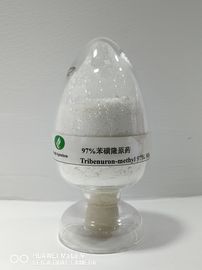 Tribenuron-methyl95%TC, herbicide agricole, large contrôle Leaved d'émergence de courrier de mauvaises herbes