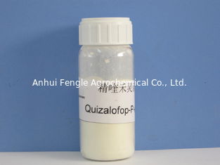 Quizalofop-P- Ethyl95%TC, 98%TC, soja/pesticide agrochimique de coton pour les mauvaises herbes herbeuses annuelles, poudre blanche cassée