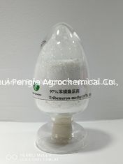 Poudre méthylique CAS No .101200-48-0 d'herbicide de comité technique Tribenuron de 95%