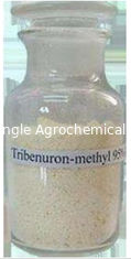 Comité technique sélectif de l'herbicide 95% de Tribenuron Méthyle d'herbicide pour commander les mauvaises herbes feuillues