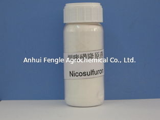 Comité technique CAS No de Nicosulfuron 97% d'herbicide 111991-0904