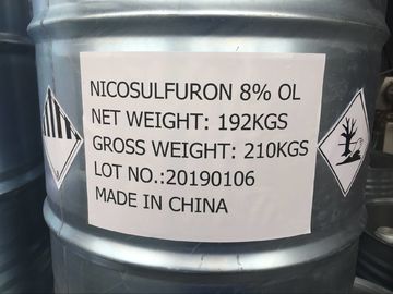 Nicosulfuron 80g/L OD, liquide blanc laiteux, tueur feuillu d'herbe pour le maïs
