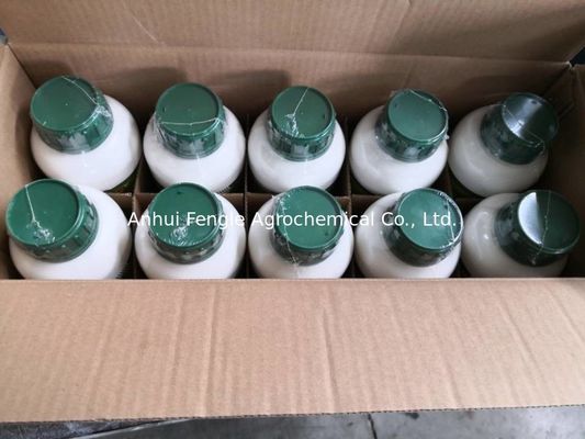 48477-71-8 insecticide Spirodiclofen 24%Sc de lutte contre les parasites