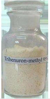 Comité technique sélectif de l'herbicide 95% de Tribenuron Méthyle d'herbicide pour commander les mauvaises herbes feuillues