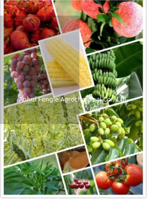25057-89-0 herbicide agrochimique Bentazone 95%TC de pesticides